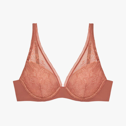 The Lace Plunge Bra